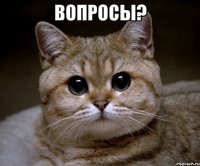 Вопросы? 