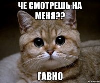 Че смотрешь на меня?? Гавно