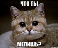 что ты мелишь?