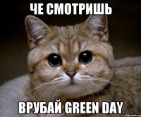 Че смотришь Врубай Green Day