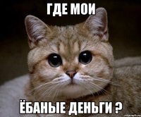 где мои ёбаные деньги ?