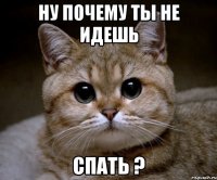 ну почему ты не идешь СПАТЬ ?