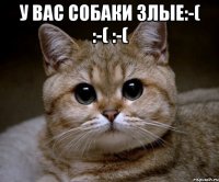 у вас собаки злые:-( :-( :-( 