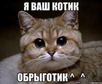 я ваш котик обрыготик ^_^