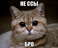 не ссы бро