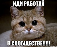 Иди работай в сообществе!!!!!