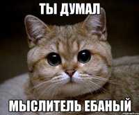 ты думал мыслитель ебаный