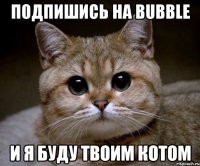 подпишись на Bubble и я буду твоим котом