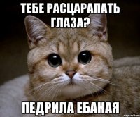 ТЕБЕ РАСЦАРАПАТЬ ГЛАЗА? ПЕДРИЛА ЕБАНАЯ