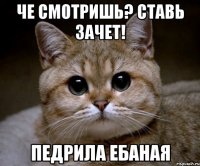 че смотришь? ставь зачет! педрила ебаная