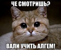 че смотришь? Вали учить алгем!