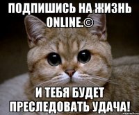 Подпишись на Жизнь online.© И тебя будет преследовать удача!