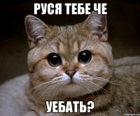 руся тебе че уебать?