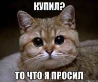 Купил? То что я просил