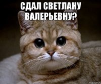 Сдал Светлану Валерьевну? 