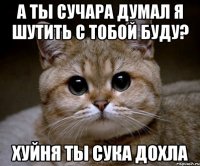 А ты сучара думал я шутить с тобой буду? Хуйня ты сука дохла