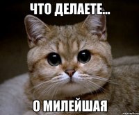 что делаете... о милейшая