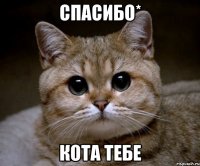 Спасибо* Кота тебе