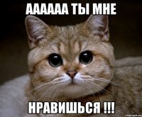 аааааа ты мне нравишься !!!