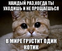 каждый раз,когда ты уходишь и не прощаешься в мире грустит один котик