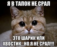 Я в тапок не срал это Шарик или Хвостик...но я не срал!!!