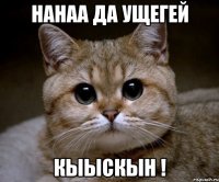 наhаа да ущегей КЫЫСКЫН !