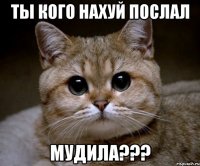 ТЫ КОГО НАХУЙ ПОСЛАЛ МУДИЛА???