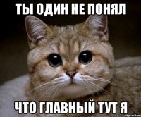 ты один не понял что главный тут я