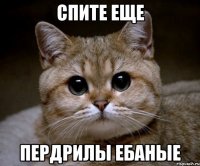 спите еще пердрилы ебаные