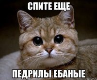 спите еще педрилы ебаные