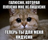 Галюсик, которая пупусик мне не пишусик Теперь ты для меня кидусик