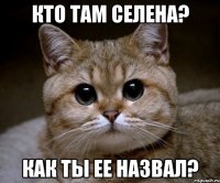 Кто там Селена? Как ты ее назвал?