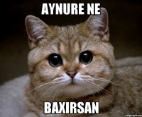 Aynure ne Baxirsan