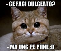 - Ce faci dulceato? - Ma ung pe pîine :D