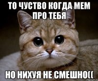 то чуство когда мем про тебя но нихуя не смешно((