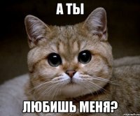 А ты любишь меня?