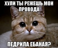 Хули ты режешь мои провода Педрила ебаная?