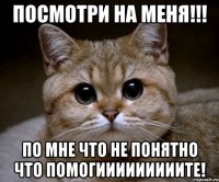 ПОСМОТРИ НА МЕНЯ!!! По мне что не понятно что ПОМОГИИИИИИИИИТЕ!