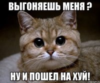 Выгоняешь меня ? Ну и пошел на хуй!