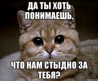 Да ты хоть понимаешь, что нам стыдно за тебя?