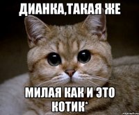 Дианка,такая же милая как и это котик*