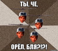 ТЫ, ЧЕ, ОРЁЛ, БЛЯ?!?!