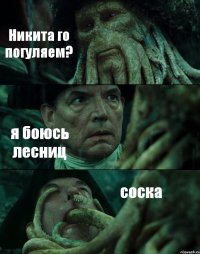 Никита го погуляем? я боюсь лесниц соска