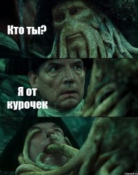 Кто ты? Я от курочек 