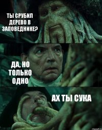 ТЫ СРУБИЛ ДЕРЕВО В ЗАПОВЕДНИКЕ? ДА, НО ТОЛЬКО ОДНО АХ ТЫ СУКА