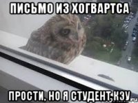 письмо из Хогвартса прости, но я студент КЭУ