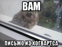 вам письмо из хогвартса