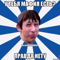 у тебя мафия есть? правда нету