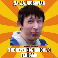 да, да, любимая я не переписываюсь с телками