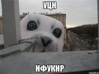 уцн нфукнр